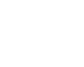 logo-2