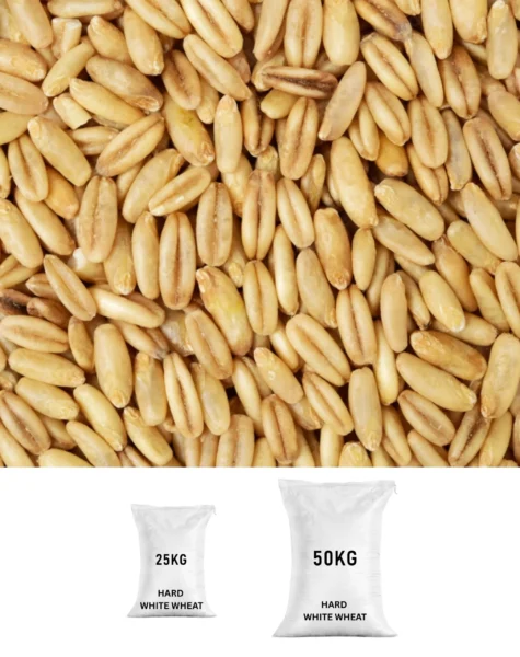 hard-white-wheat-1747624046044 hard-white-wheat-1747624046044